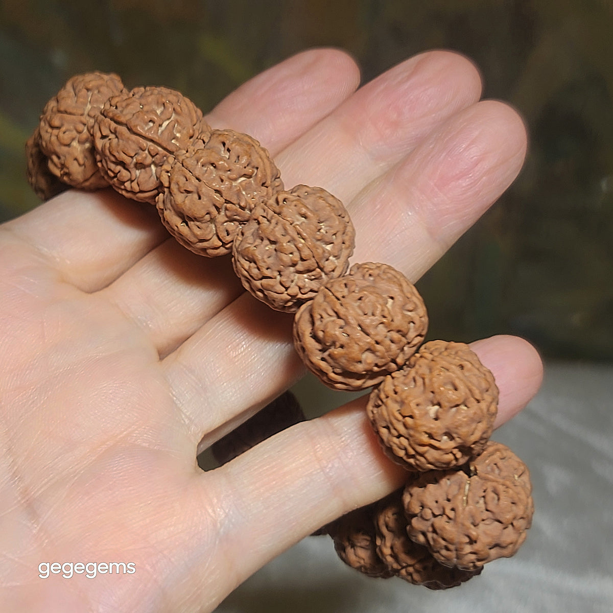 Premium 20mm natural Nepal Rudraksha high altitude (dense & high natural oil contents) pinkish same tree Double Dragons Panlong 5 Mukhi bracelet 精品尼泊尔五瓣高山安娜籽粉红皮同树双龙盘龙大金刚菩提子手链