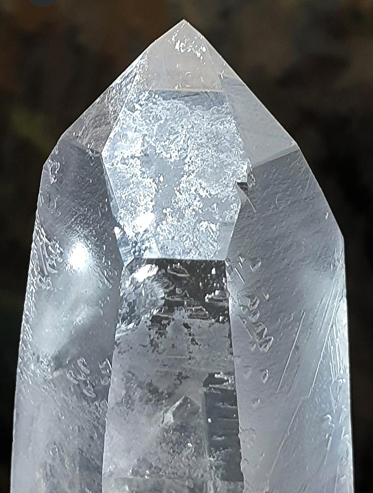 Premium 17 cm natural untreated unprocessed raw Clear Quartz point [Natural Crystal] 精品天然未打磨白水晶柱原石