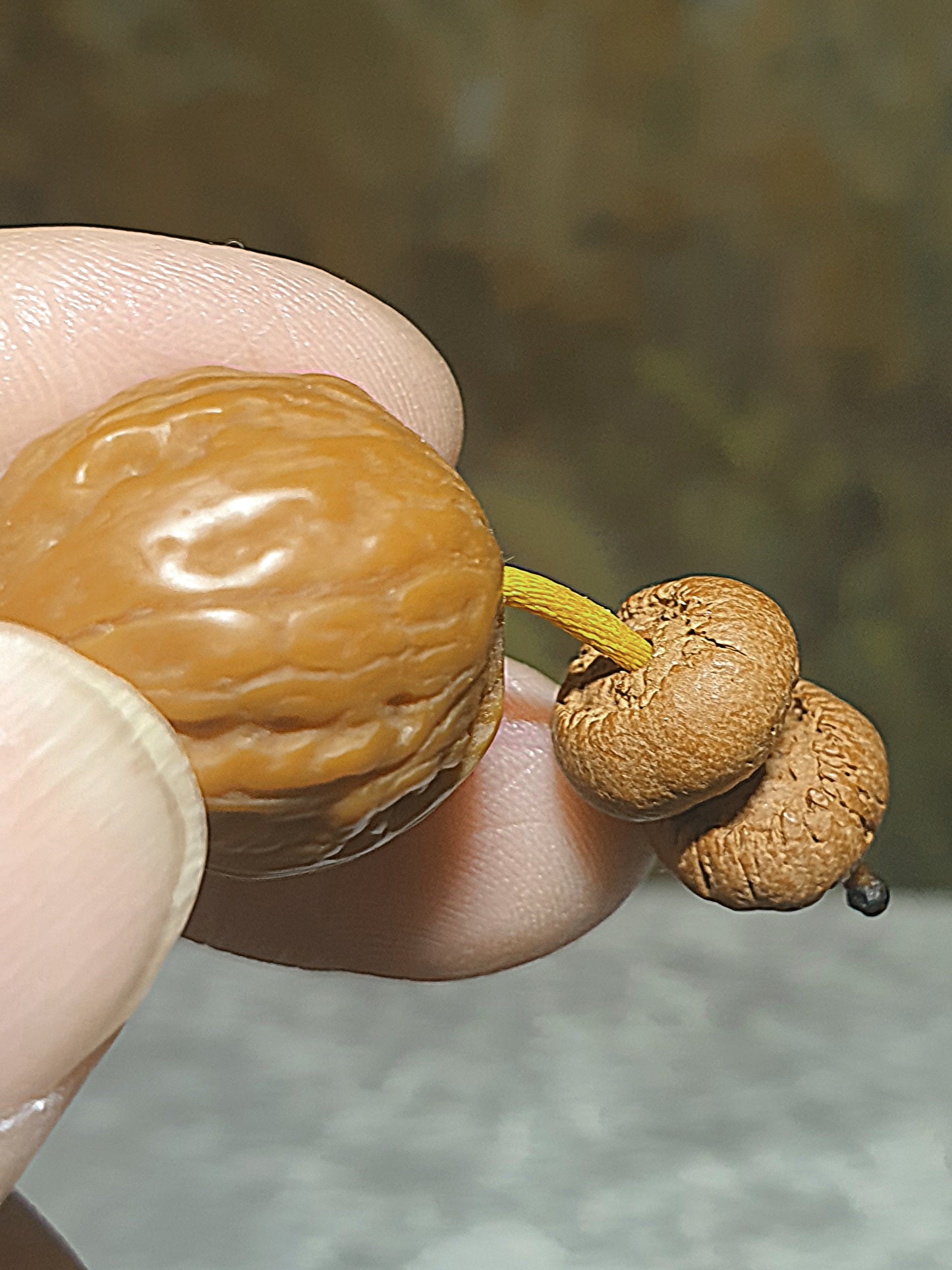 11.5mm "Mo Pan Lotus Bodhi" with 13.5mm Yellow Jadeite & 20mm Beijing 8-Ridge Walnut 108 mala beads/necklace 11.5毫米满包磨盘莲花菩提配13.5毫米黄翡与20毫米京八棱核桃108念珠/项链