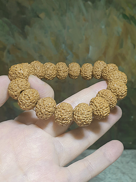 16mm premium natural "Panlong" (Coiling Dragon) 9 Mukhi (faces) small species Rudraksha bracelet/hand-held 16毫米九瓣盘龙小金刚菩提子手串/手持