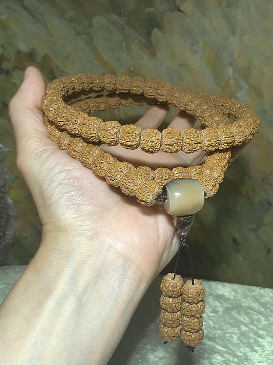 Extra large 13.5mm small species Rudraksha "First Generation Pan Long (Coiling Dragon)"  Tibetan style 108 mala beads/necklace 13.5毫米超大尺寸藏式一代盘龙小金刚菩提108念珠/项链