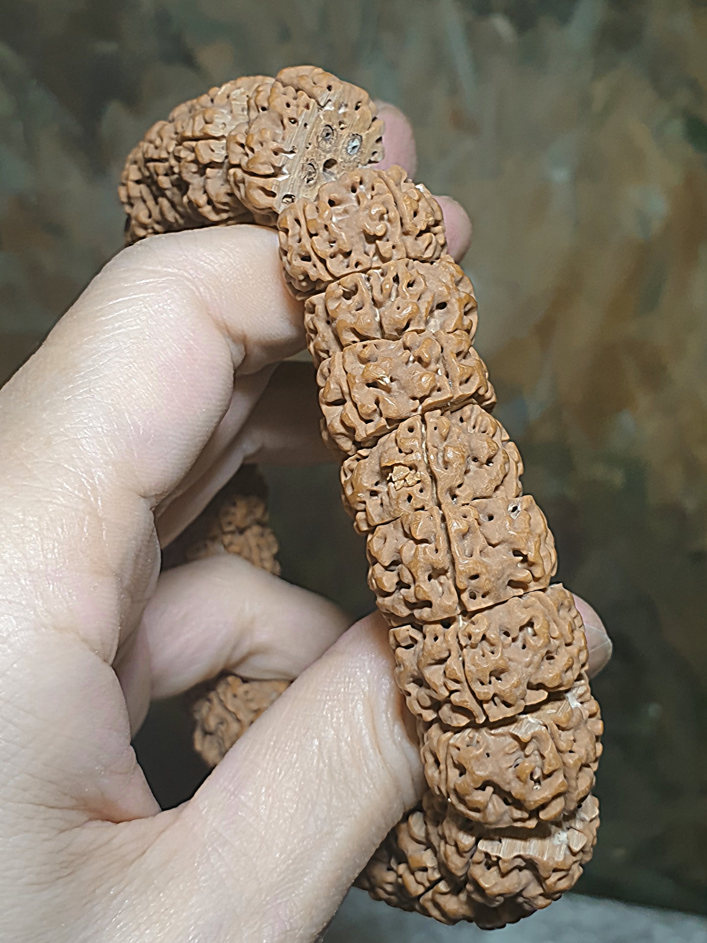 20mm Premium Nepal Rudraksha from high altitude (dense & high natural oil contents) same tree full body Panlong Double-Dragon 5 Mukhi Vajra Circle Tibetan bracelet/Handheld 20毫米尼泊尔安娜籽同树五瓣满肉盘龙双龙大金刚菩提子金刚伏魔圈藏式手串/手持 #5