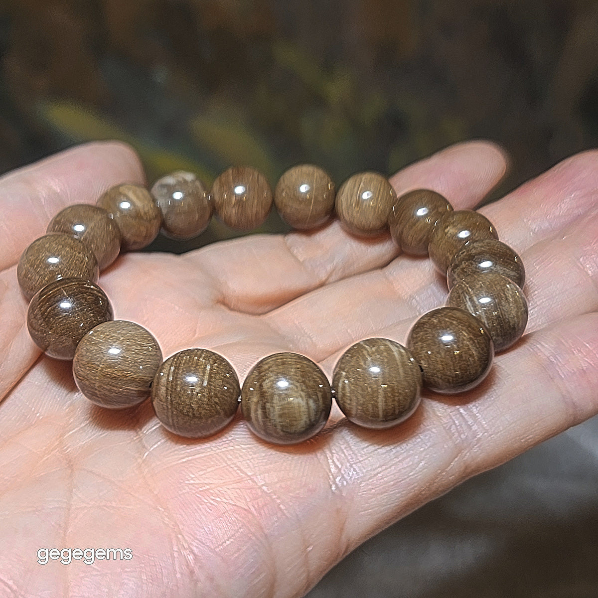 Gegegems Collection 12mm premium aged Madagascar Petrified Wood bracelet [Natural Crystal] 精品马达加斯加老料木化石手链
