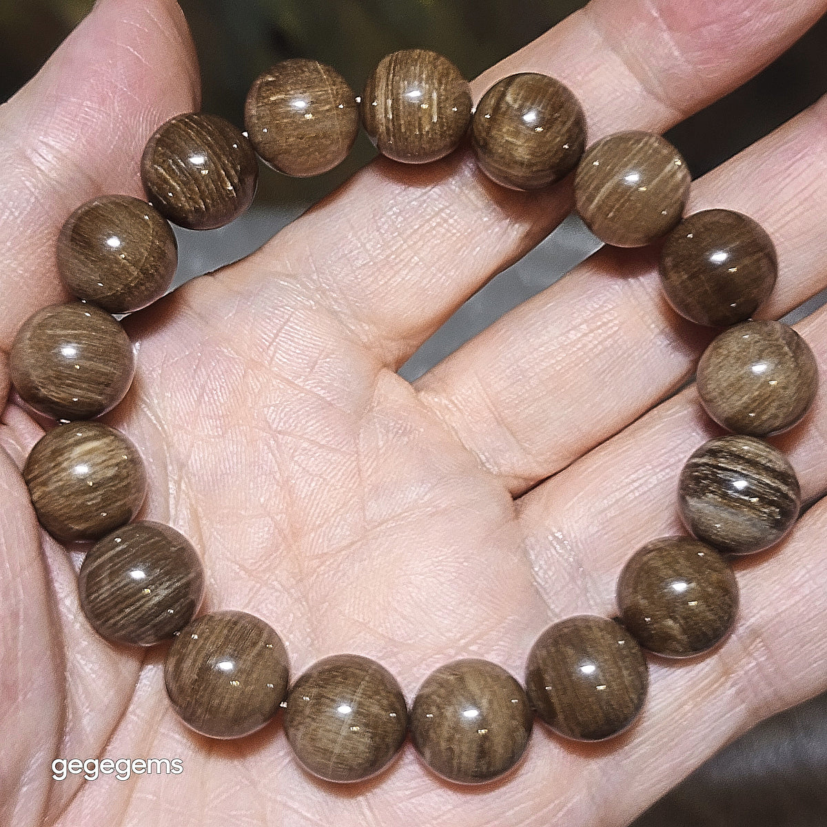 Gegegems Collection 12mm premium aged Madagascar Petrified Wood bracelet [Natural Crystal] 精品马达加斯加老料木化石手链