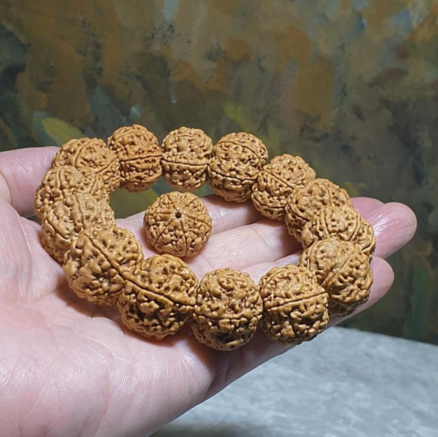 Gegegems large size 21.6 to 23mm Premium Nepal Rudraksha from high altitude (dense & high natural oil contents) short height "Panlong (Curling Dragon)" Double Dragons 6 Mukhi bracelet with one spare bead 精品大尺寸尼泊尔六瓣高山安娜籽矮桩盘龙双龙大金刚菩提子手串(带一颗备珠)