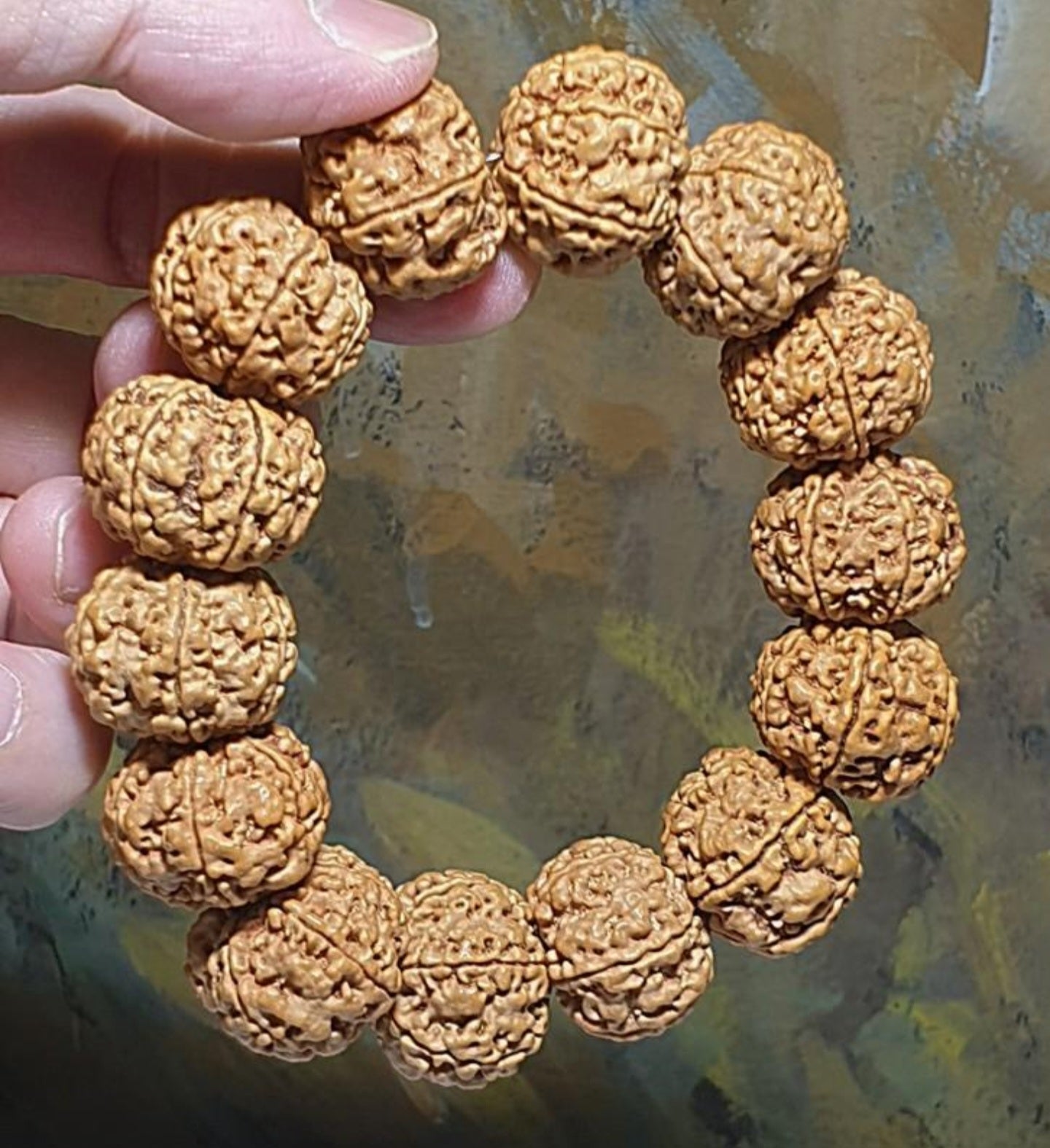 Gegegems large size 21.6 to 23mm Premium Nepal Rudraksha from high altitude (dense & high natural oil contents) short height "Panlong (Curling Dragon)" Double Dragons 6 Mukhi bracelet with one spare bead 精品大尺寸尼泊尔六瓣高山安娜籽矮桩盘龙双龙大金刚菩提子手串(带一颗备珠)