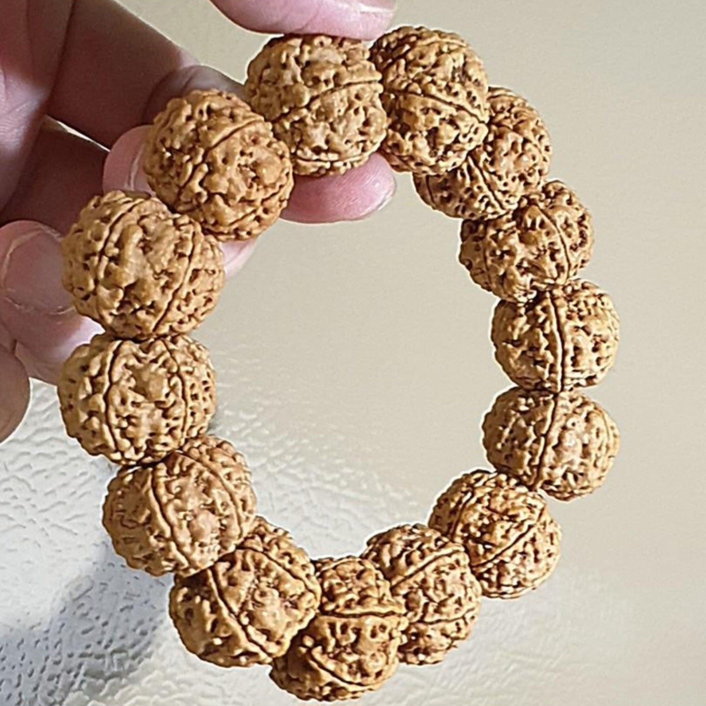 Gegegems large size 21.6 to 23mm Premium Nepal Rudraksha from high altitude (dense & high natural oil contents) short height "Panlong (Curling Dragon)" Double Dragons 6 Mukhi bracelet with one spare bead 精品大尺寸尼泊尔六瓣高山安娜籽矮桩盘龙双龙大金刚菩提子手串(带一颗备珠)