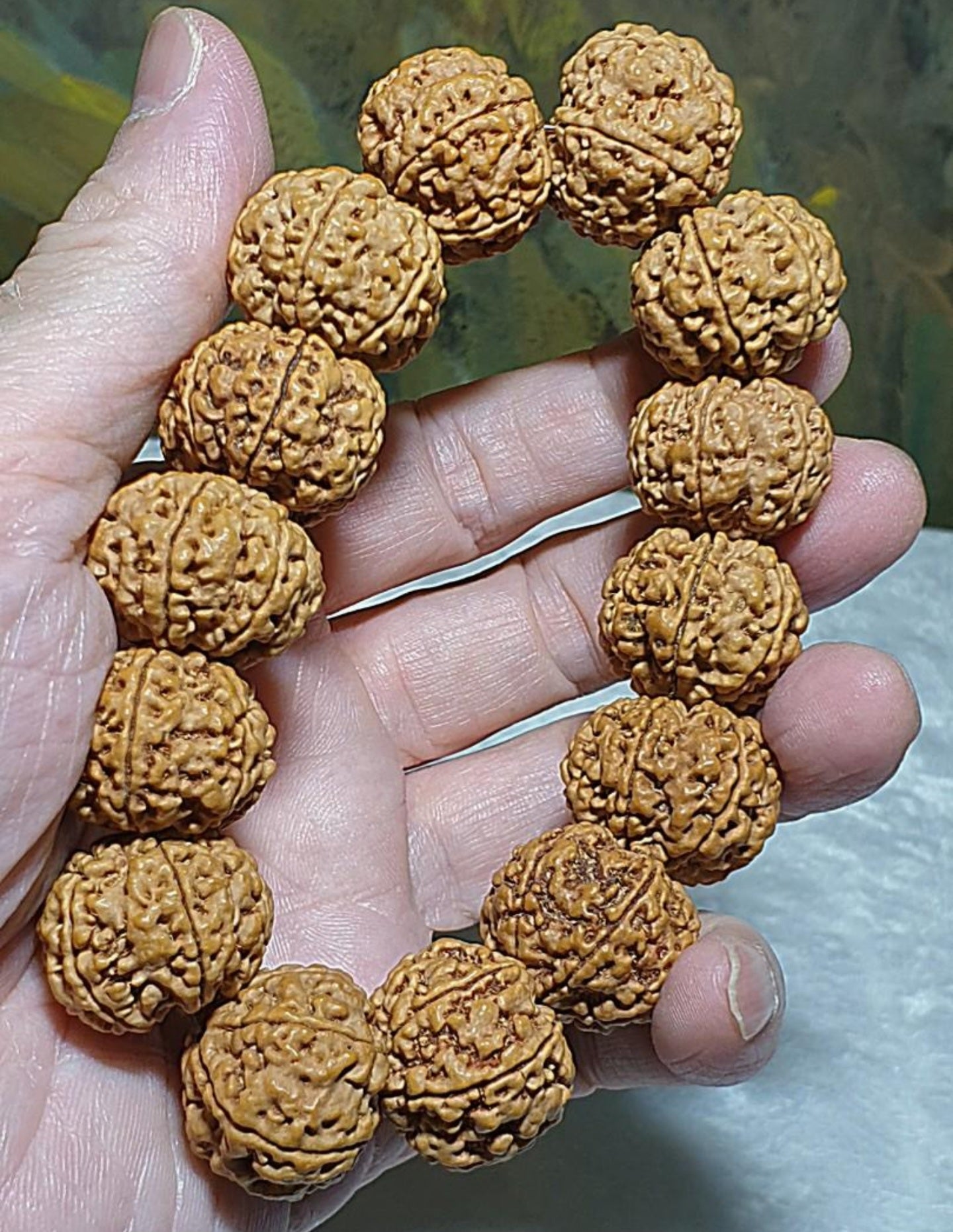 Gegegems large size 21.6 to 23mm Premium Nepal Rudraksha from high altitude (dense & high natural oil contents) short height "Panlong (Curling Dragon)" Double Dragons 6 Mukhi bracelet with one spare bead 精品大尺寸尼泊尔六瓣高山安娜籽矮桩盘龙双龙大金刚菩提子手串(带一颗备珠)