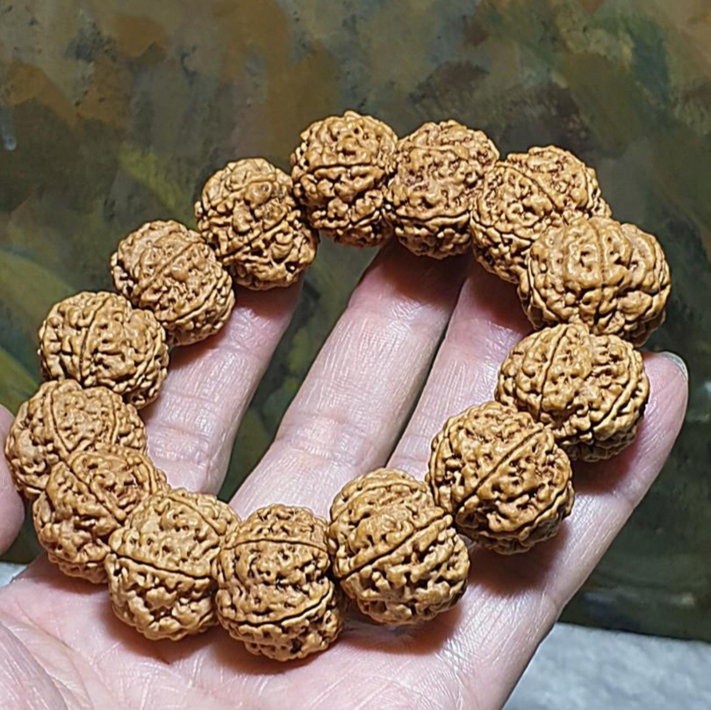 Gegegems large size 21.6 to 23mm Premium Nepal Rudraksha from high altitude (dense & high natural oil contents) short height "Panlong (Curling Dragon)" Double Dragons 6 Mukhi bracelet with one spare bead 精品大尺寸尼泊尔六瓣高山安娜籽矮桩盘龙双龙大金刚菩提子手串(带一颗备珠)