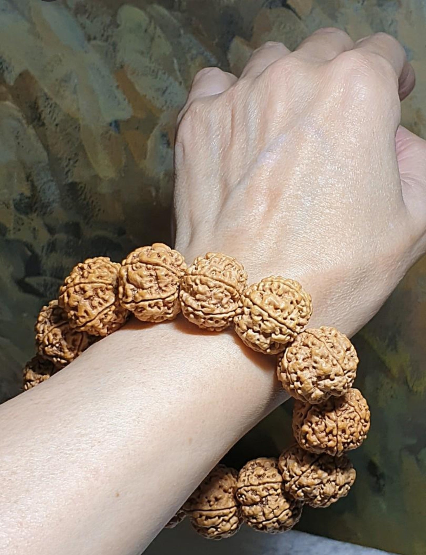 Gegegems large size 21.6 to 23mm Premium Nepal Rudraksha from high altitude (dense & high natural oil contents) short height "Panlong (Curling Dragon)" Double Dragons 6 Mukhi bracelet with one spare bead 精品大尺寸尼泊尔六瓣高山安娜籽矮桩盘龙双龙大金刚菩提子手串(带一颗备珠)