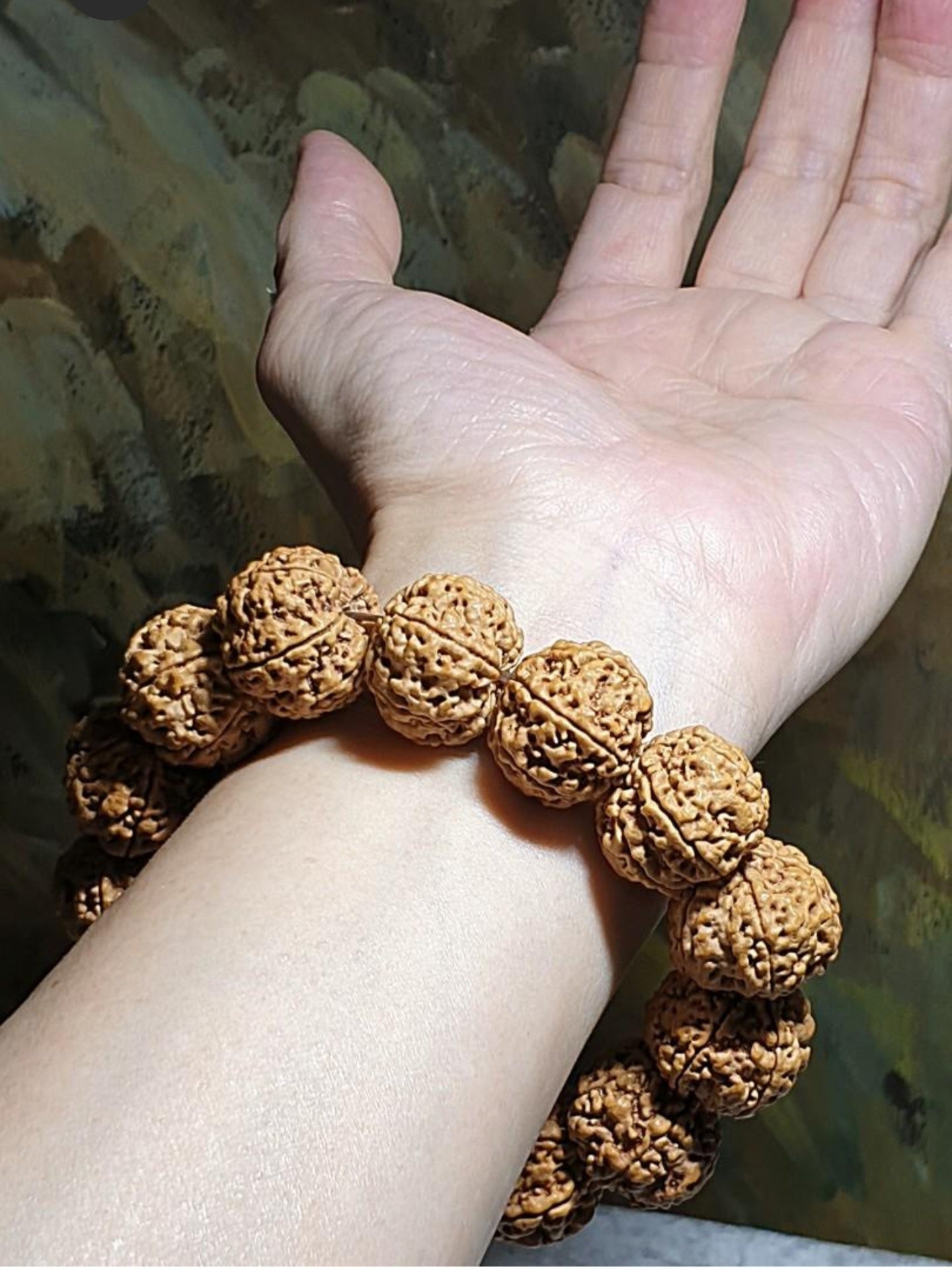 Gegegems large size 21.6 to 23mm Premium Nepal Rudraksha from high altitude (dense & high natural oil contents) short height "Panlong (Curling Dragon)" Double Dragons 6 Mukhi bracelet with one spare bead 精品大尺寸尼泊尔六瓣高山安娜籽矮桩盘龙双龙大金刚菩提子手串(带一颗备珠)