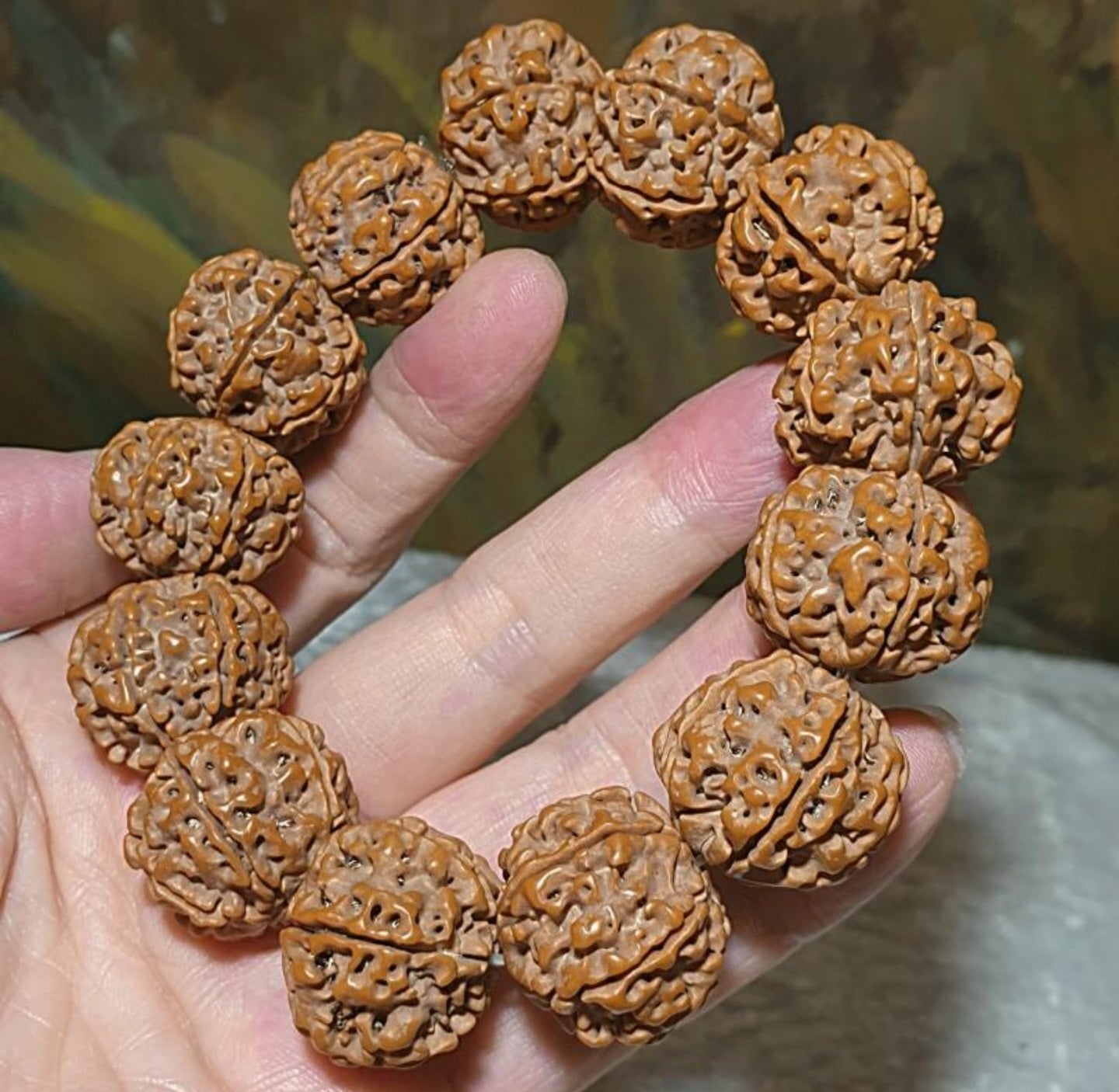 Gegegems 22+ to 23mm+ premium Nepal Rudraksha dense high natural oil content Honeycomb Double Dragons 6 Mukhi bracelet 罕见大尺寸尼泊尔六瓣高山安娜籽粉红皮蜂窝双龙大金刚菩提子手链