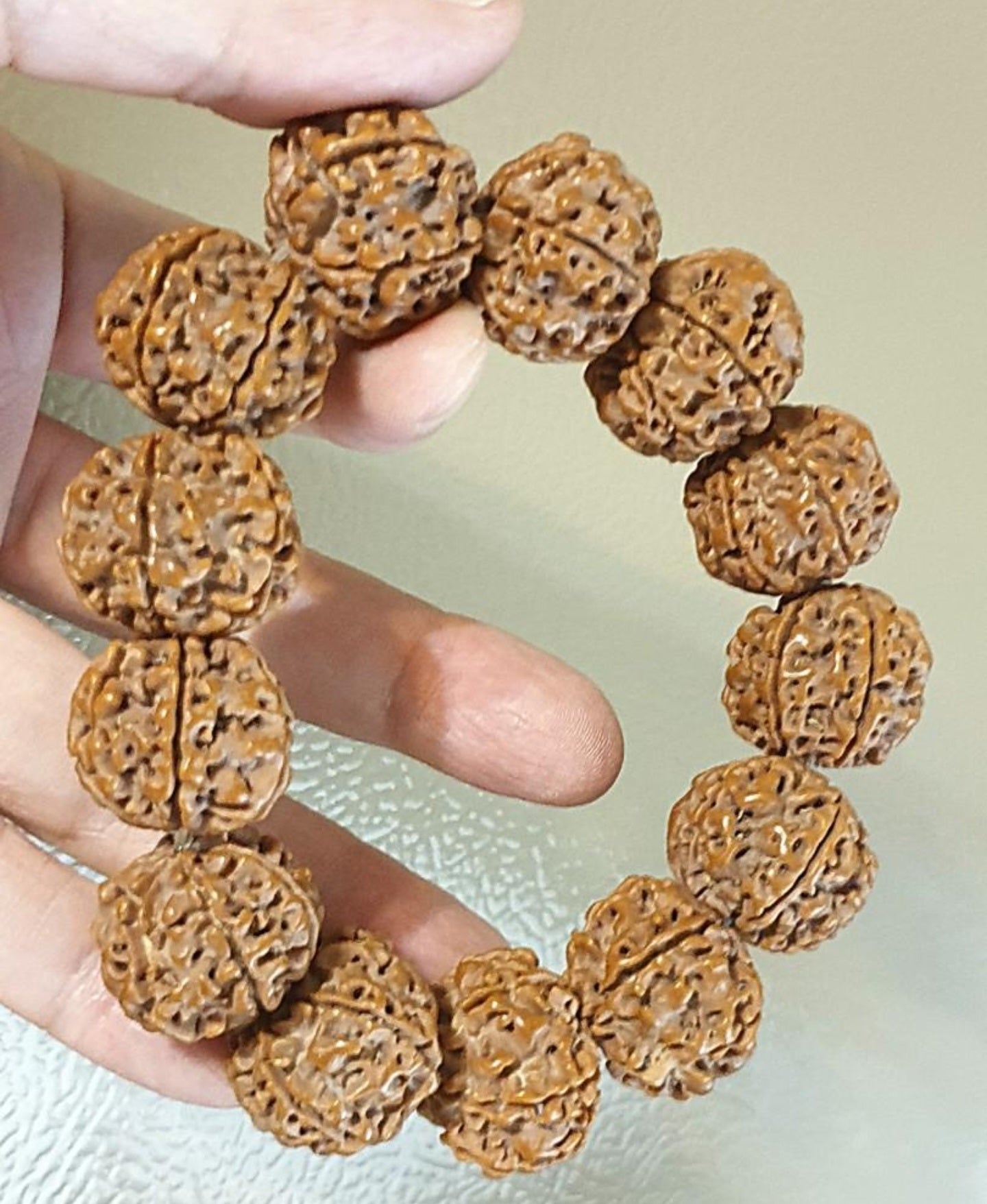 Gegegems 22+ to 23mm+ premium Nepal Rudraksha dense high natural oil content Honeycomb Double Dragons 6 Mukhi bracelet 罕见大尺寸尼泊尔六瓣高山安娜籽粉红皮蜂窝双龙大金刚菩提子手链