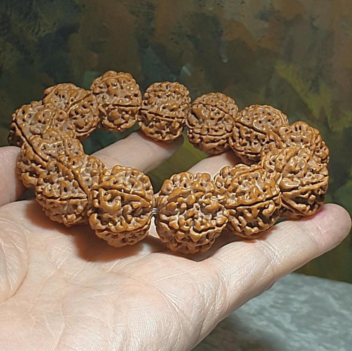 Gegegems 22+ to 23mm+ premium Nepal Rudraksha dense high natural oil content Honeycomb Double Dragons 6 Mukhi bracelet 罕见大尺寸尼泊尔六瓣高山安娜籽粉红皮蜂窝双龙大金刚菩提子手链