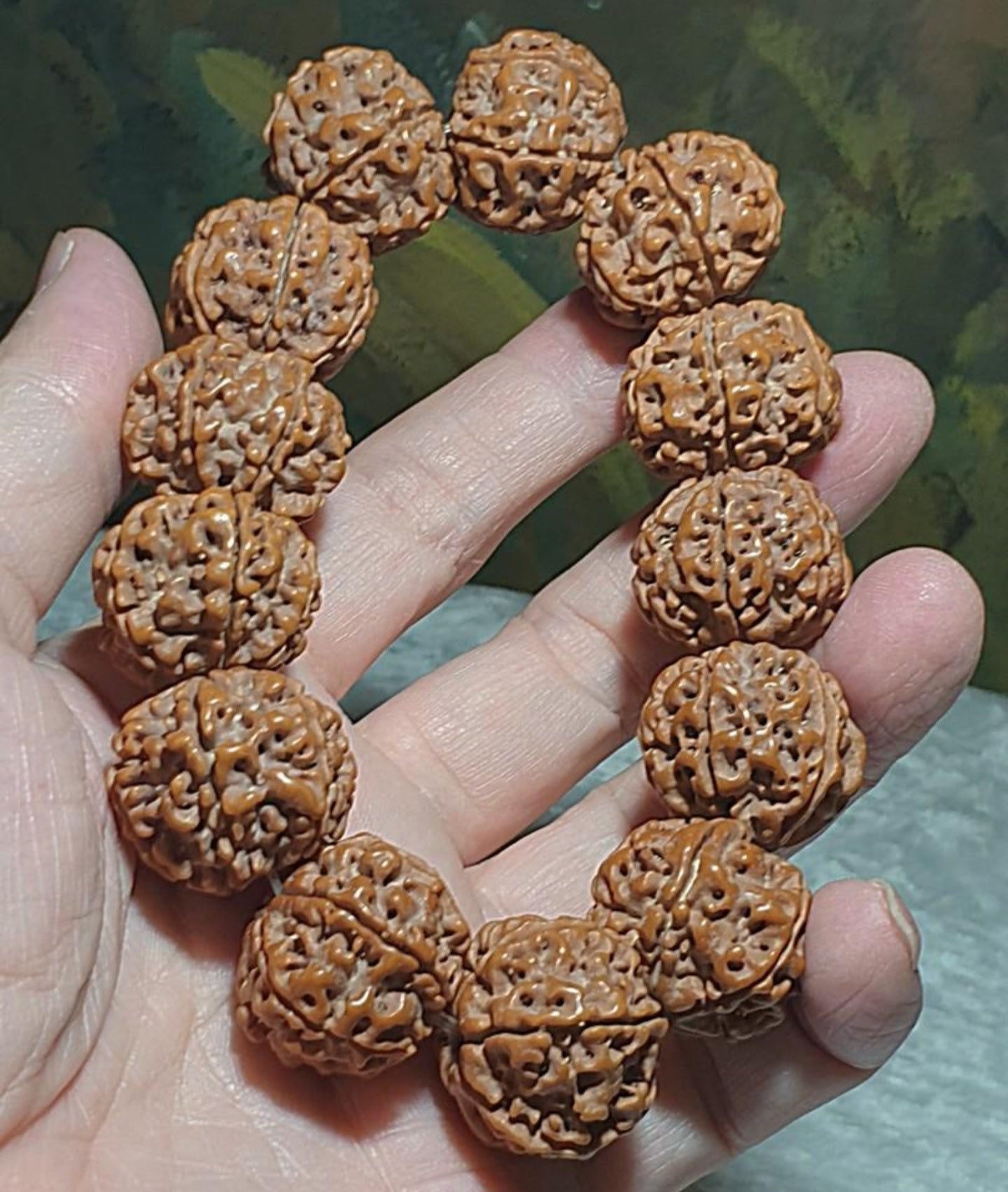 Gegegems 22+ to 23mm+ premium Nepal Rudraksha dense high natural oil content Honeycomb Double Dragons 6 Mukhi bracelet 罕见大尺寸尼泊尔六瓣高山安娜籽粉红皮蜂窝双龙大金刚菩提子手链