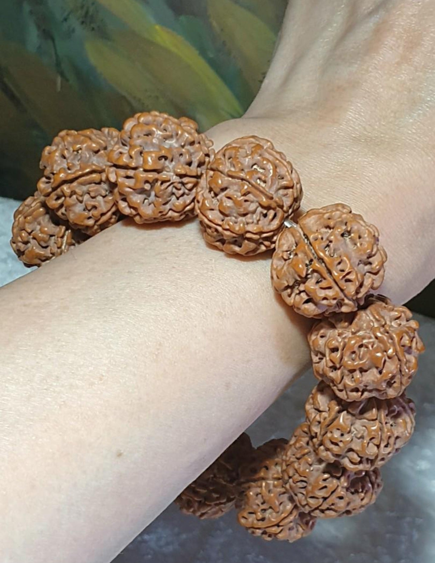 Gegegems 22+ to 23mm+ premium Nepal Rudraksha dense high natural oil content Honeycomb Double Dragons 6 Mukhi bracelet 罕见大尺寸尼泊尔六瓣高山安娜籽粉红皮蜂窝双龙大金刚菩提子手链