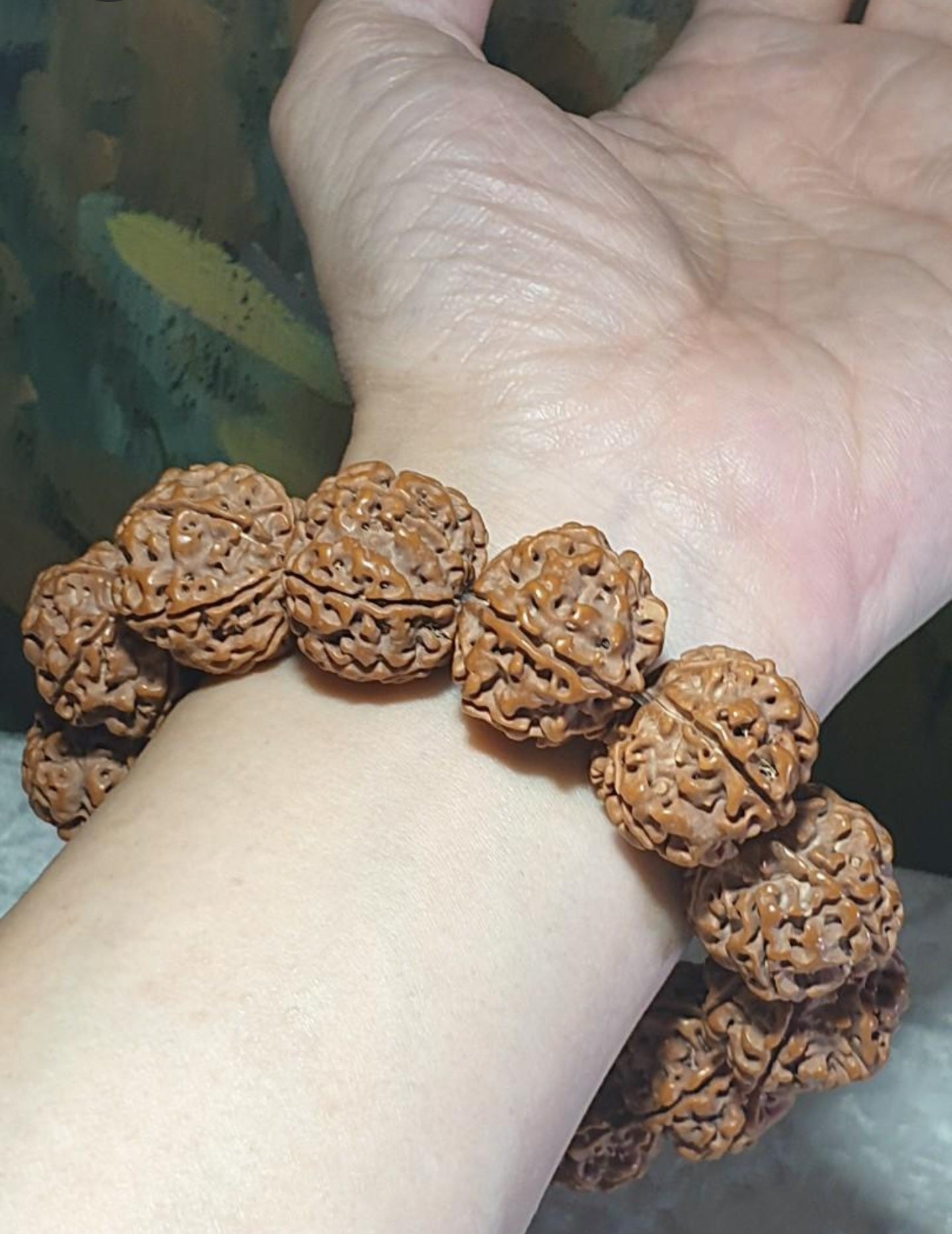 Gegegems 22+ to 23mm+ premium Nepal Rudraksha dense high natural oil content Honeycomb Double Dragons 6 Mukhi bracelet 罕见大尺寸尼泊尔六瓣高山安娜籽粉红皮蜂窝双龙大金刚菩提子手链