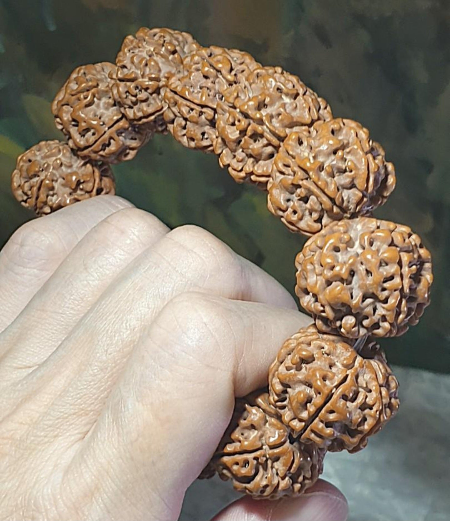 Gegegems 22+ to 23mm+ premium Nepal Rudraksha dense high natural oil content Honeycomb Double Dragons 6 Mukhi bracelet 罕见大尺寸尼泊尔六瓣高山安娜籽粉红皮蜂窝双龙大金刚菩提子手链