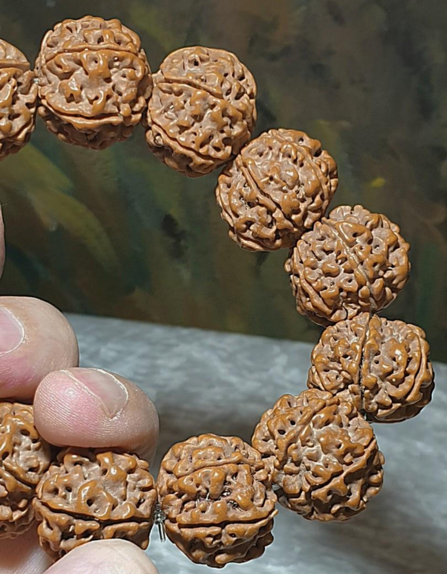 Gegegems 22+ to 23mm+ premium Nepal Rudraksha dense high natural oil content Honeycomb Double Dragons 6 Mukhi bracelet 罕见大尺寸尼泊尔六瓣高山安娜籽粉红皮蜂窝双龙大金刚菩提子手链