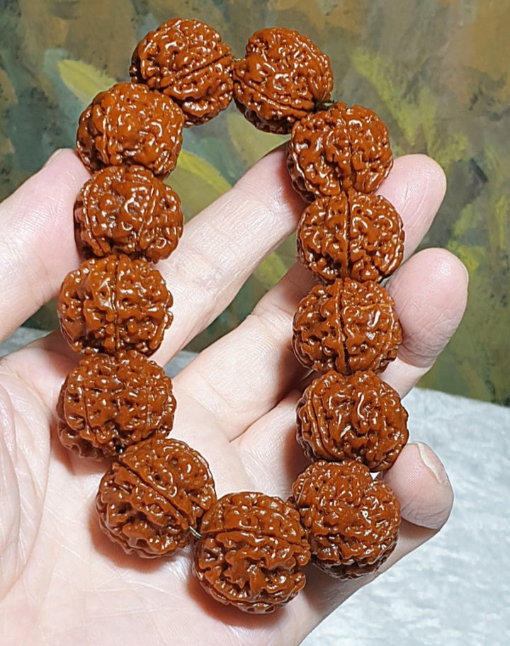 21mm+ Thoroughly cleaned & brushed Nepal Rudraksha from high altitude (dense & high natural oil contents) same tree both sides Plum Flower Panlong Double-Dragon 5 Mukhi (faces) bracelet/Handheld 21毫米+ 深度清理打底尼泊尔五瓣高山安娜籽同树双面梅花盘龙双龙大金刚菩提子手串/手持