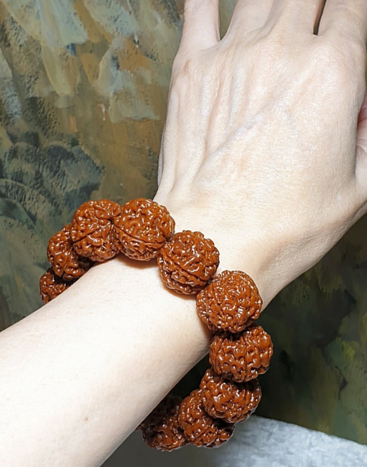 21mm+ Thoroughly cleaned & brushed Nepal Rudraksha from high altitude (dense & high natural oil contents) same tree both sides Plum Flower Panlong Double-Dragon 5 Mukhi (faces) bracelet/Handheld 21毫米+ 深度清理打底尼泊尔五瓣高山安娜籽同树双面梅花盘龙双龙大金刚菩提子手串/手持