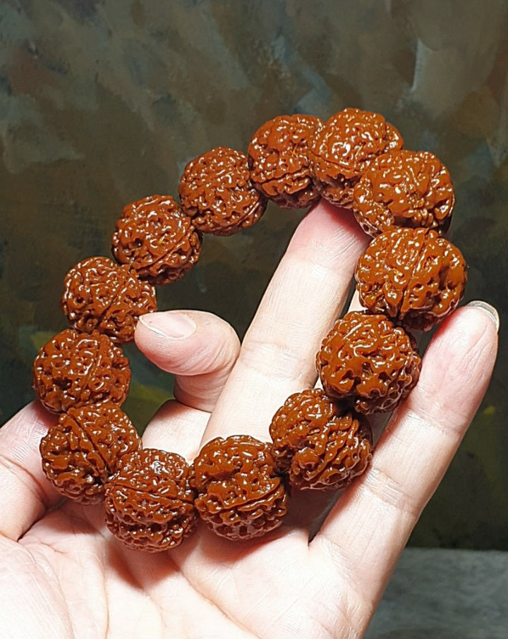 21mm+ Thoroughly cleaned & brushed Nepal Rudraksha from high altitude (dense & high natural oil contents) same tree both sides Plum Flower Panlong Double-Dragon 5 Mukhi (faces) bracelet/Handheld 21毫米+ 深度清理打底尼泊尔五瓣高山安娜籽同树双面梅花盘龙双龙大金刚菩提子手串/手持