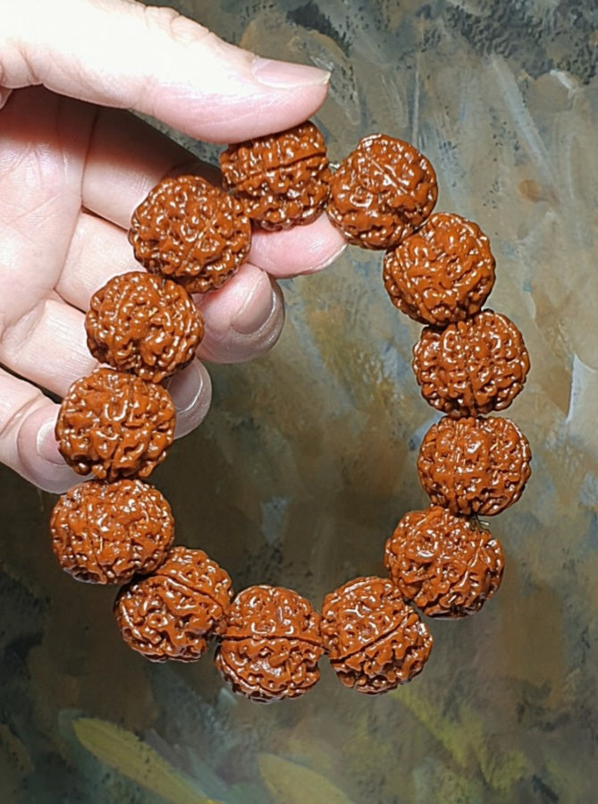 21mm+ Thoroughly cleaned & brushed Nepal Rudraksha from high altitude (dense & high natural oil contents) same tree both sides Plum Flower Panlong Double-Dragon 5 Mukhi (faces) bracelet/Handheld 21毫米+ 深度清理打底尼泊尔五瓣高山安娜籽同树双面梅花盘龙双龙大金刚菩提子手串/手持