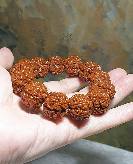 21mm+ Thoroughly cleaned & brushed Nepal Rudraksha from high altitude (dense & high natural oil contents) same tree both sides Plum Flower Panlong Double-Dragon 5 Mukhi (faces) bracelet/Handheld 21毫米+ 深度清理打底尼泊尔五瓣高山安娜籽同树双面梅花盘龙双龙大金刚菩提子手串/手持