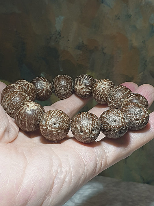 Large size 17.5 to 18mm raw 3-Eye Bodhi (zijinshu) bracelet/handheld [Natural unprocessed] 大尺寸近圆17.5到18毫米招财紫金鼠(三眼菩提)原籽手链/手持