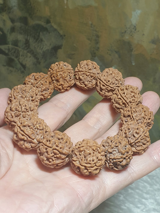 [Rudraksha promotion] 20mm premium Nepal large species Rudraksha "Honeycomb" Double-Dragon 5 Mukhi (faces) bracelet 20毫米尼泊尔五瓣蜂窝双龙大金刚菩提子手串/手持