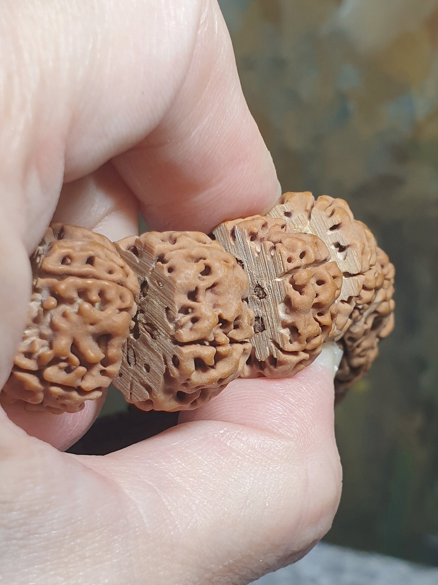 20mm Premium Nepal Rudraksha from high altitude (dense & high natural oil contents) same tree full body Panlong Double-Dragon 5 Mukhi Vajra Circle Tibetan bracelet/Handheld 20毫米尼泊尔安娜籽同树五瓣满肉盘龙双龙大金刚菩提子金刚伏魔圈藏式手串/手持