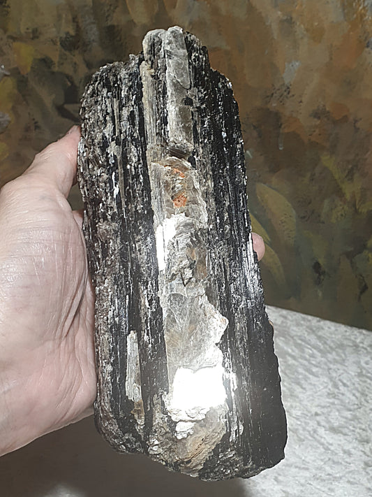 1.06Kg raw Black Tourmaline extra long with silvery Mica very reflective surface  [Natural Crystal] 1.06公斤特长黑碧玺原石超亮皮带大片云母片