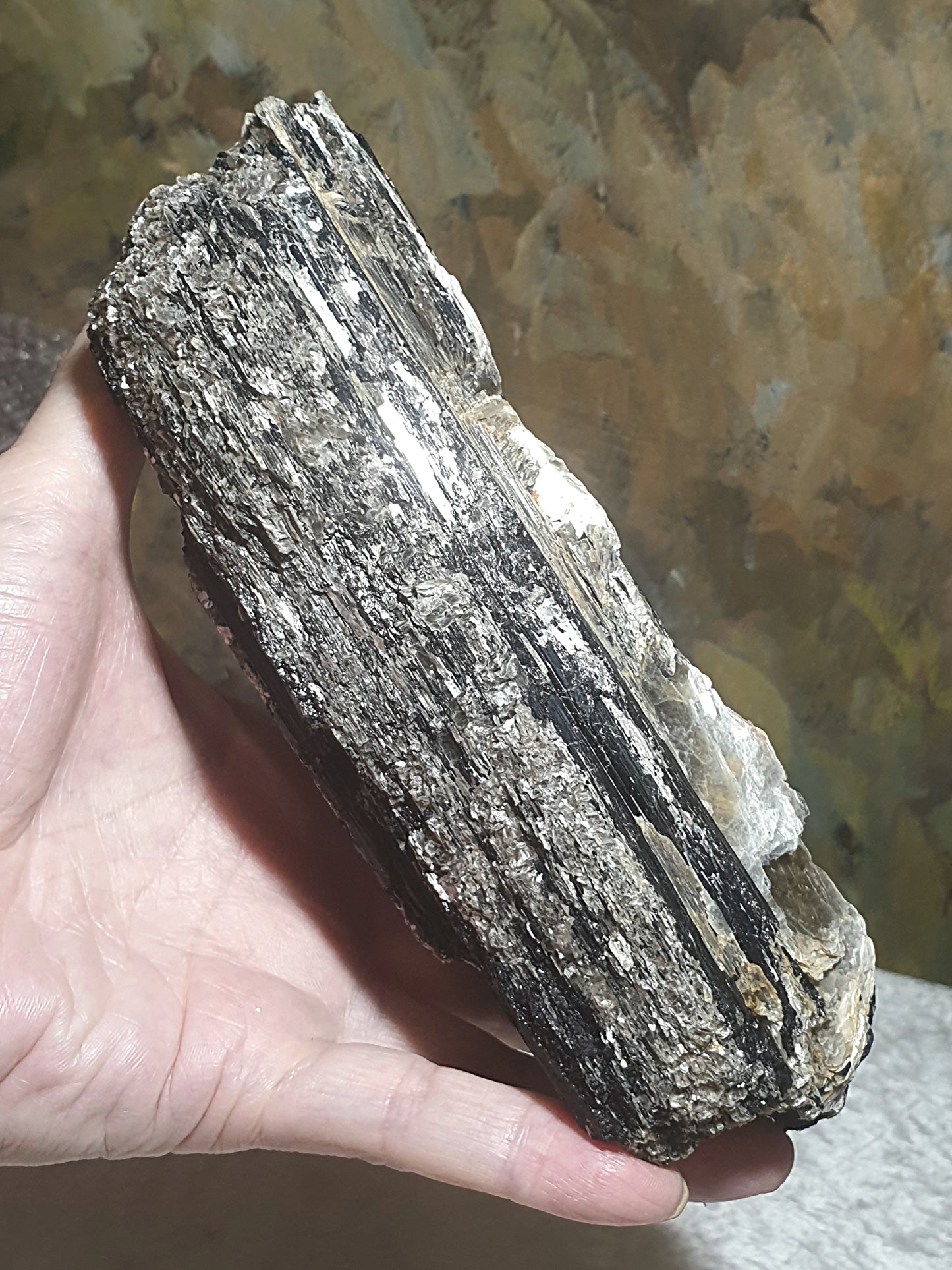 1.06Kg raw Black Tourmaline extra long with silvery Mica very reflective surface  [Natural Crystal] 1.06公斤特长黑碧玺原石超亮皮带大片云母片