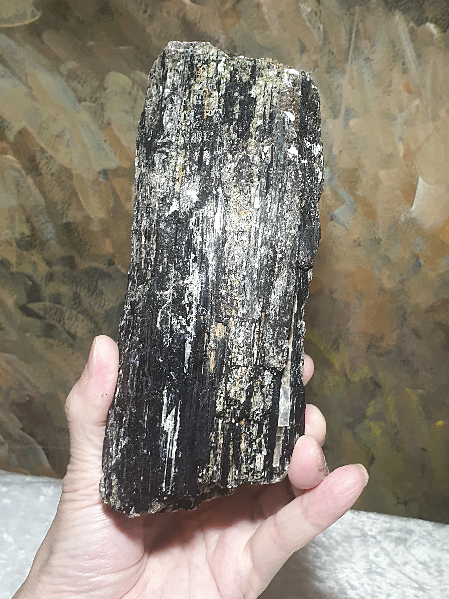 1.06Kg raw Black Tourmaline extra long with silvery Mica very reflective surface  [Natural Crystal] 1.06公斤特长黑碧玺原石超亮皮带大片云母片