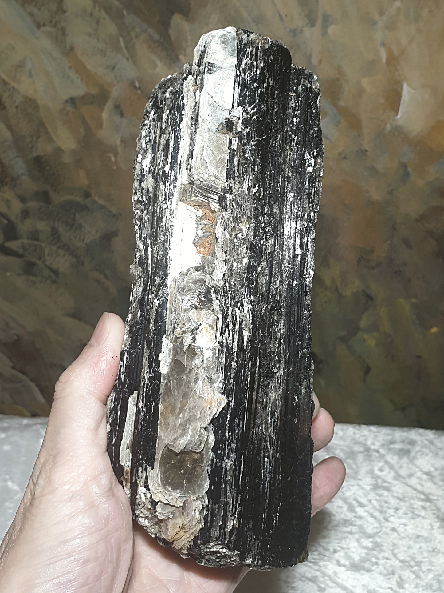 1.06Kg raw Black Tourmaline extra long with silvery Mica very reflective surface  [Natural Crystal] 1.06公斤特长黑碧玺原石超亮皮带大片云母片