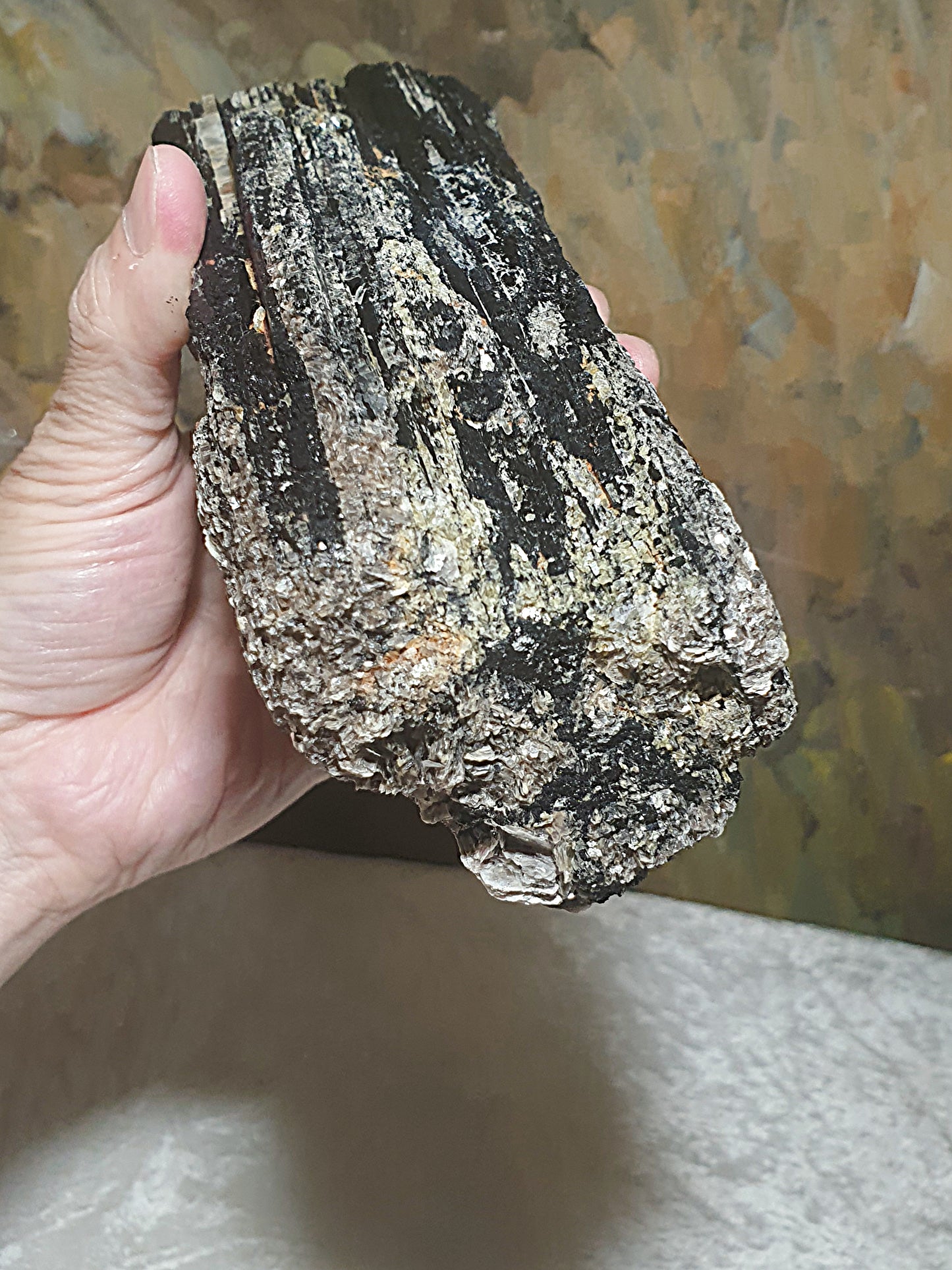 1.06Kg raw Black Tourmaline extra long with silvery Mica very reflective surface  [Natural Crystal] 1.06公斤特长黑碧玺原石超亮皮带大片云母片