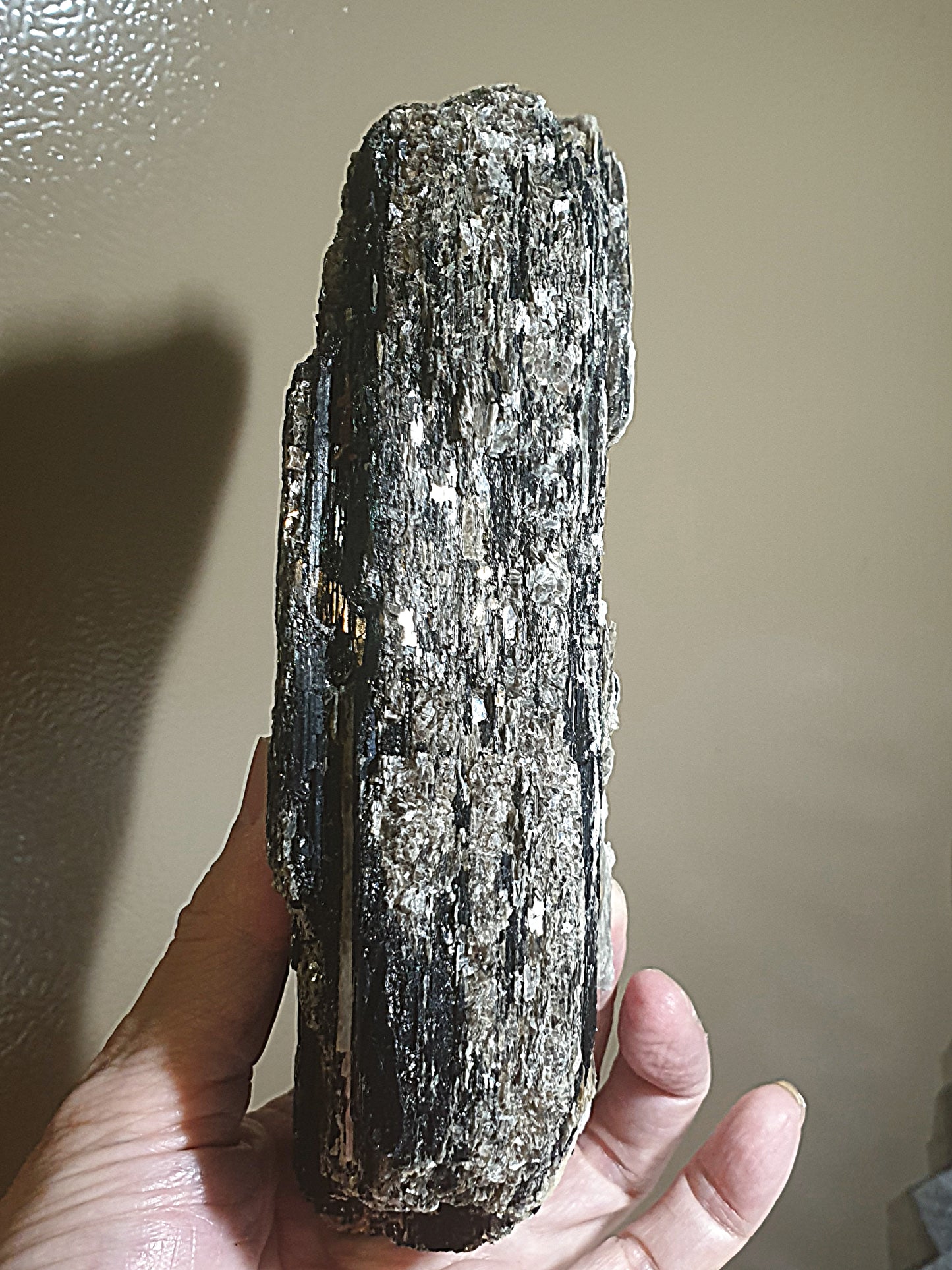 1.06Kg raw Black Tourmaline extra long with silvery Mica very reflective surface  [Natural Crystal] 1.06公斤特长黑碧玺原石超亮皮带大片云母片