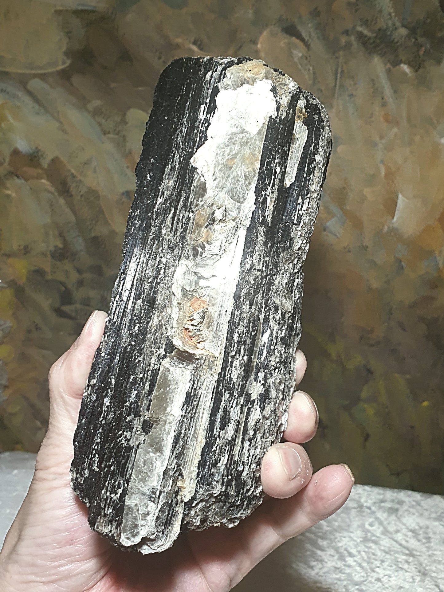 1.06Kg raw Black Tourmaline extra long with silvery Mica very reflective surface  [Natural Crystal] 1.06公斤特长黑碧玺原石超亮皮带大片云母片