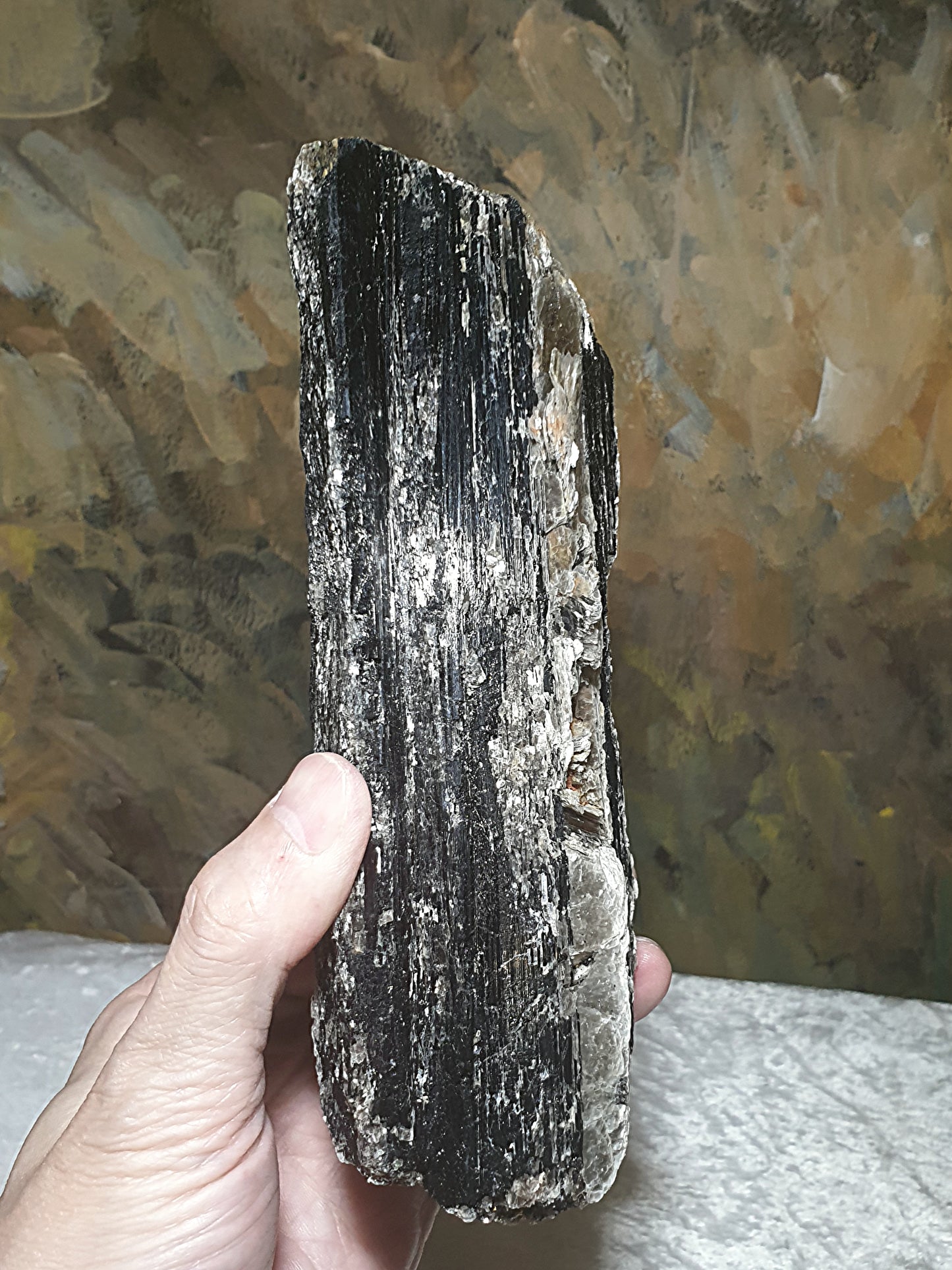 1.06Kg raw Black Tourmaline extra long with silvery Mica very reflective surface  [Natural Crystal] 1.06公斤特长黑碧玺原石超亮皮带大片云母片